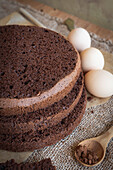 Chocolate sponge cake