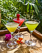 Verschiedene sommerliche Cocktails mit Martini