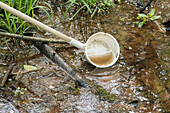 Schaufeln in sumpfigem Wasser für Mückenlarven