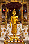Buddha-Statue im buddhistischen Tempel Wat Bupparam; Chiang Mai, Thailand.
