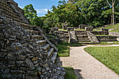 Stufen des Tempels XIV im Vordergrund, mit Komplex XV dahinter, in den Ruinen der Maya-Stadt Palenque, Palenque National Park, Chiapas, Mexiko. Eine UNESCO-Welterbestätte.
