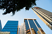 Office Buildings in the Business District of Brisbane, Queensland, Australia