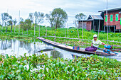 Intha Mann auf seinem Boot im Inle See Myanmar am 07. September 2017 , der Inle See ist ein Süßwassersee im Shan Staat