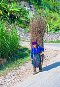 Vietnamese farmer in a countrside near Ha Giang Vietnam