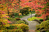 Japanischer Garten im Herbst, Washington Park Arboretum, Seattle, Washington.