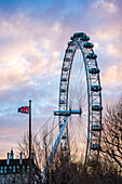 London Eye at sunset, London Borough of Lambeth, England, United Kingdom