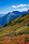 Sahale Arm Trail und Blick auf den Magic Mountain über dem Cascade Pass, North Cascades National Park, Washington.