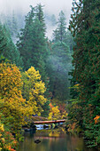 South Umpqua River im Herbst; Umpqua National Forest, Cascade Mountains, Oregon.