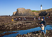 People viewing tidepools at Yaquina Head Outstanding Natural Area on the central Oregon Coast.