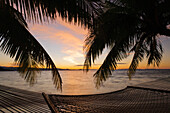 Hammock and palm trees on beach at sunset, Matangi Private Island Resort, Fiji.