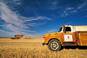 Weizenernte und alter Farmwagen, Farm der Familie Von Borstel, Bakeoven Road, Wasco County, Ost-Oregon.