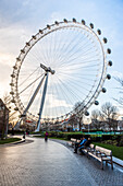 London Eye seen from Jubilee Gardens, London Borough of Lambeth, England, United Kingdom