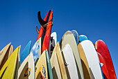 Surfboards at Playa Los Cerritos, Baja California Sur, Mexico.