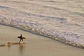 Surfer heading out to waves with dog running after him; Indian Beach, Ecoloa State Park, northern Oregon coast.
