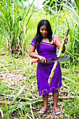 Demonstration eines Stammes aus dem Amazonas-Regenwald, Coca, Ecuador, Südamerika
