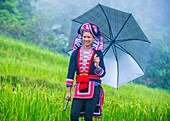 Woman from the Red Dao minority in a village near Ha Giang in Vietnam