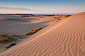 Sand dunes at Umpua Dunes John Dellenback Trail area of Oregon Dunes National Recreation Area, Oregon Coast.