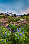 Wildblumen und Mount Adams vom Hellroaring Viewpoint Trail, Bird Creek Meadows, Mount Adams Recreation Area, Yakama Indian Reservation, Washington.
