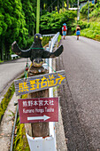 Kumano Kodo Pilgerweg. Weg zum Mizunomi-oji. Nakahechi. Präfektur Wakayama. Halbinsel Kii. Region Kansai. Insel Honshü. UNESCO-Welterbe. Japan
