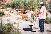Goat Herder, Mojacar, Andalucia, Almeria, Spain