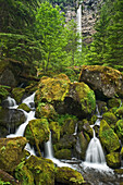 Watson Creek waterfalls, Umpqua National Forest, Oregon.
