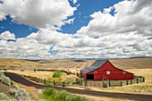 Scheune auf der Anderson Ranch ("Seit 1905"), Highway 206, zwischen Condon und Heppner in Ost-Oregon.