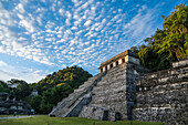 First light on the Temple of the Inscriptions in the ruins of the Mayan city of Palenque, Palenque National Park, Chiapas, Mexico. A UNESCO World Heritage Site.
