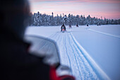 Snowmobiling on the frozen lake at sunset at Torassieppi, Lapland, Finland