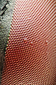 Musca domestica or house fly compound eye; the