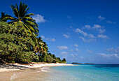 Marshall Islands, Micronesia: Beach and palm trees on Calalin Island, a "Picnic Island" on Majuro Atoll..