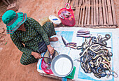 Eine kambodschanische Frau verkauft Schlangen auf einem Markt in Siem Reap, Kambodscha