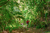 Wanderer auf dem Weg zum Cerro Majaguas mit Xplore Mexico; Lo de Marcos, Riviera Nayarit, Mexiko.