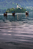 Ruderbootfahrt mit Pletna zur Insel Bled, Gorenjska, Region Oberkrain, Slowenien, Europa