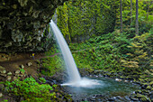 Wanderer hinter den Ponytail Falls (auch bekannt als Upper Horsetail Falls), Columbia River Gorge National Scenic Area, Oregon.