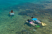 Couple on honeymoon snorkeling with local guide on coral reef of Taveuni Island during visit to Civa Fiji Pearls Ltd. from Matangi Private Island Resort, Fiji.