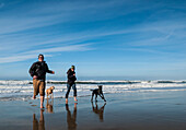 Junges erwachsenes Paar und ihre Hunde spielen in der Brandung und rennen am Strand; Oregon Dunes National Recreation Area, Küste von Zentral-Oregon.
