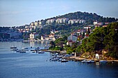 Coast of Dubrovnik from cruise ship, Croatia
