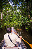 Einbaumfahrt im Amazonas-Regenwald, Coca, Ecuador, Südamerika