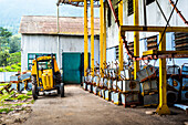 Teeplantagenfabrik, Munnar, Western Ghats Mountains, Kerala, Indien