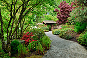 Japanischer Garten Yao im Botanischen Garten Bellevue; Bellevue, Washington.