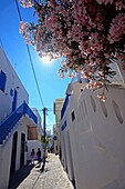 Die Straßen von Mykonos, Griechenland