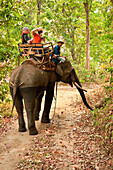 Visitors on elephant ride at National Thai Elephant Conservation Center; Lampang, Chiang Mai Province, Thailand.