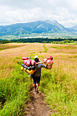 Final Leg of the Three Day Mount Rinjani Trek, Lombok, Indonesia. The sight of Senaru in the distance signals the home leg of the three day Mount Rinjani trek and brings to an end the challenging, tiring, exhausting, arduous, draining 13 hours of walking on the third and final day of the trek. Mount Rinjani (Gunung Rinjani in Indonesian) is an active volcano on Lombok island, Indonesia and its summit of 3726m, makes it the second highest volcano in Indonesia.