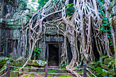 The Ta Prohm temple in Angkor Thom, Siem Reap Cambodia