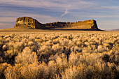 Fort Rock, a volcanic tuff ring in the high desert of south-central Oregon.