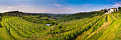 Kojsko, Goriska Brda, Slowenien. Blick auf Weinberge mit Kojsko auf der linken und Gonjace auf der rechten Seite, Goriska Brda (Gorizia Hills), Slowenien, Europa