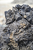 A close up of a soil sample, Debre Berhan, Ethiopia