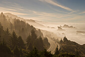 Beach, sea stacks and Highway 101 on a foggy morning; Cape Sebastian State Scenic Corridor, southern Oregon coast.