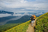Wanderer und Balsamwurzel auf dem Dog Mountain Trail, Columbia River Gorge National Scenic Area, Washington.