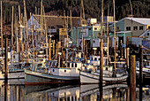 Fischerboote am Dock, Hafen von Garibaldi, Küste von Oregon.